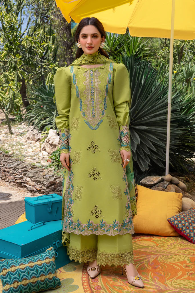 3pcs Rangrasiya parrot lawn