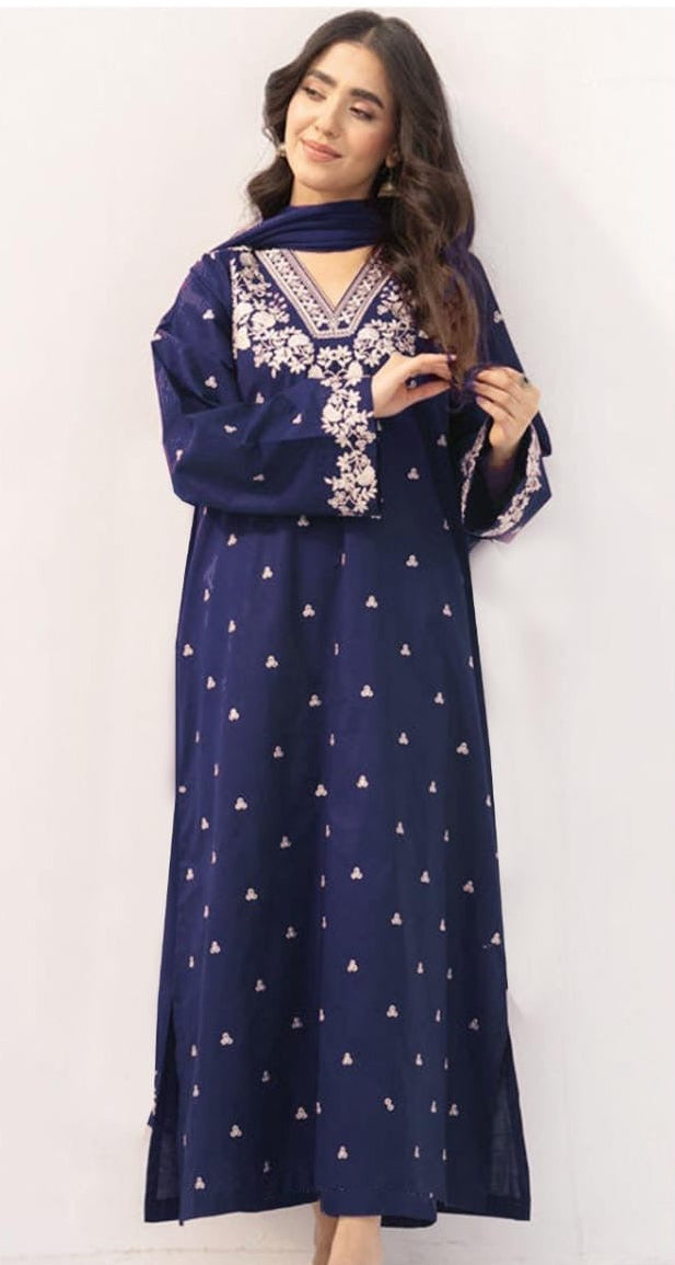 2pcs Embroidery Dhanak Pezwan blue